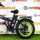 Электровелосипед-Minako-F10-new-заднее-колесо