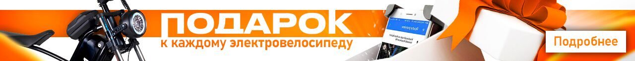 podarok_dlya_e-velosiped.jpg