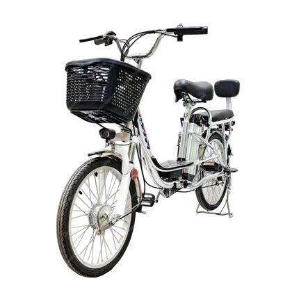 Электрический велосипед GreenCamel Транк-20 V2 (R20 250W10Ah)